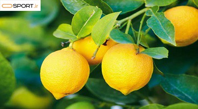 چگونه از لیمو در کاهش وزن استفاده کنیم؟