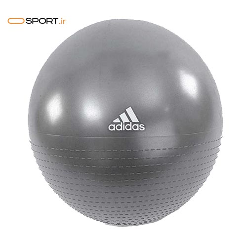 جیم بال خاکستری 65CM Gym Ball Grey