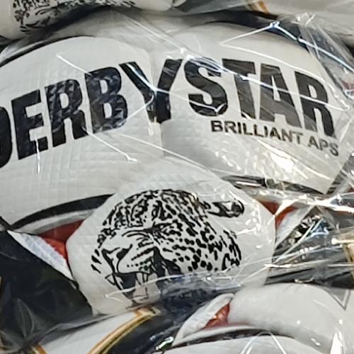 توپ فوتبال طرح 21/22 Derbystar der 2 2